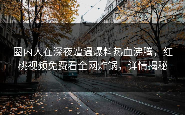 圈内人在深夜遭遇爆料热血沸腾，红桃视频免费看全网炸锅，详情揭秘