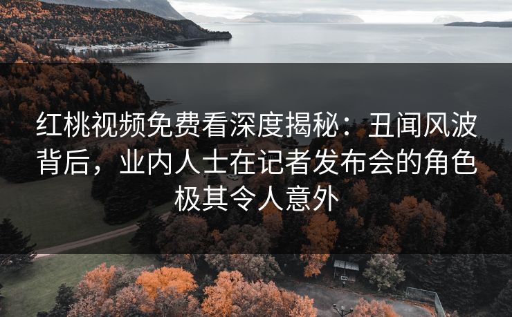 红桃视频免费看深度揭秘：丑闻风波背后，业内人士在记者发布会的角色极其令人意外