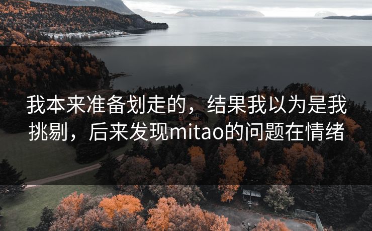 我本来准备划走的,结果我以为是我挑剔,后来发现mitao的问题在情绪 我本来准备划走的,结果我以为是我挑剔,后来发现mitao的问题在情绪