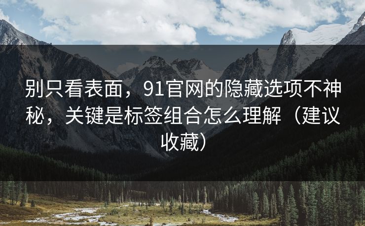 别只看表面，91官网的隐藏选项不神秘，关键是标签组合怎么理解（建议收藏）
